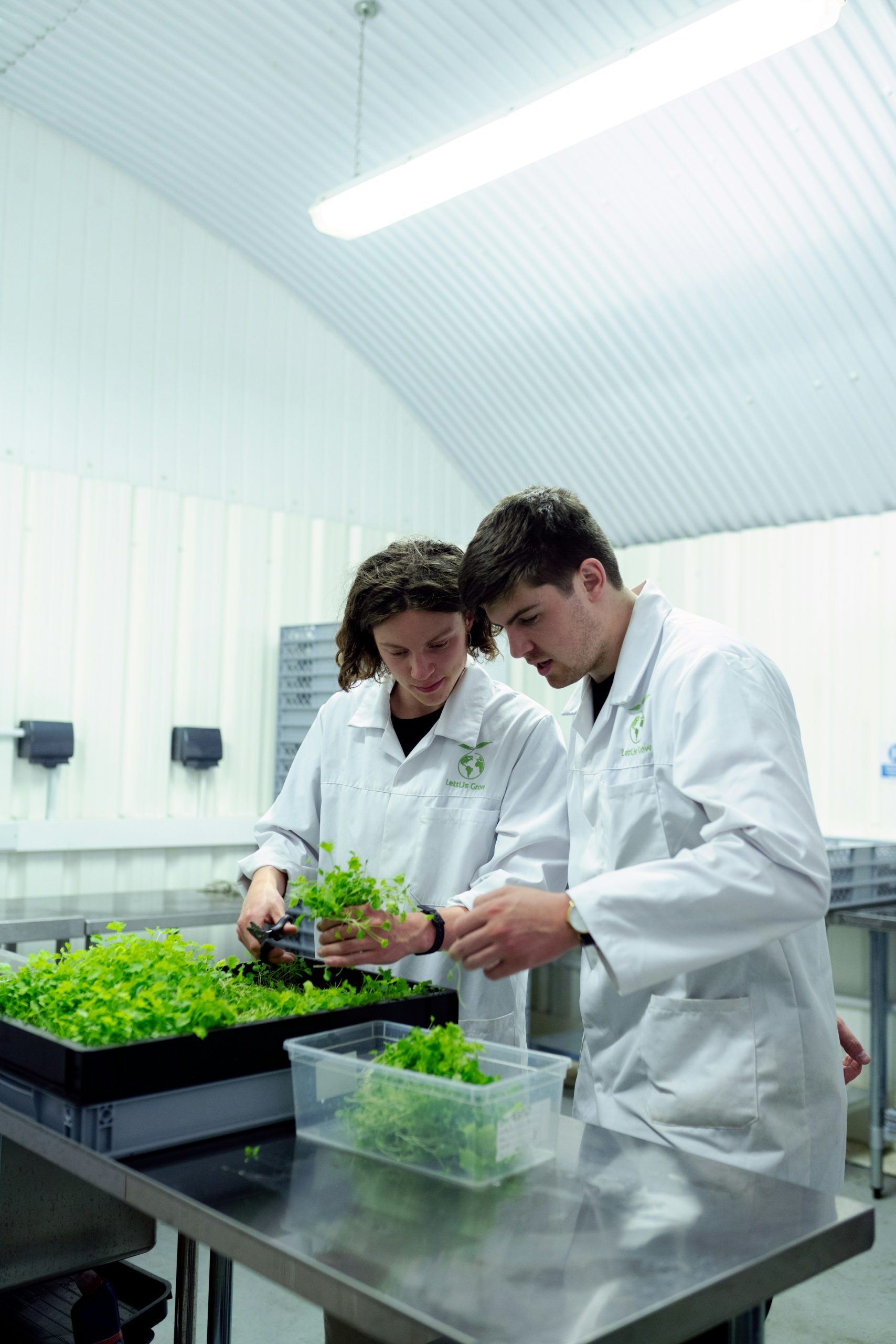 Engineering research team working together in a technology laboratory